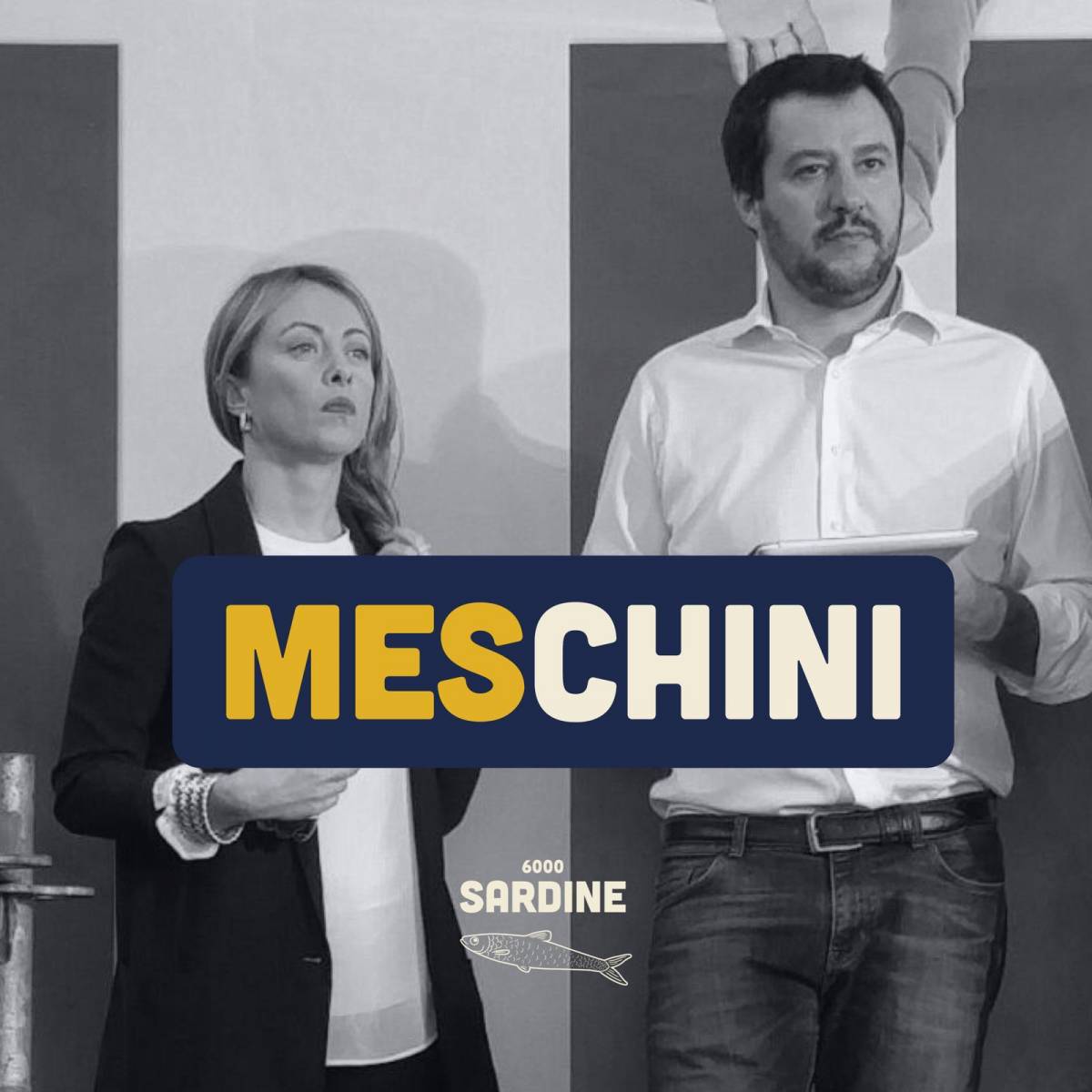 Le sardine ora passano agli insulti: "Salvini e Meloni? Meschini"