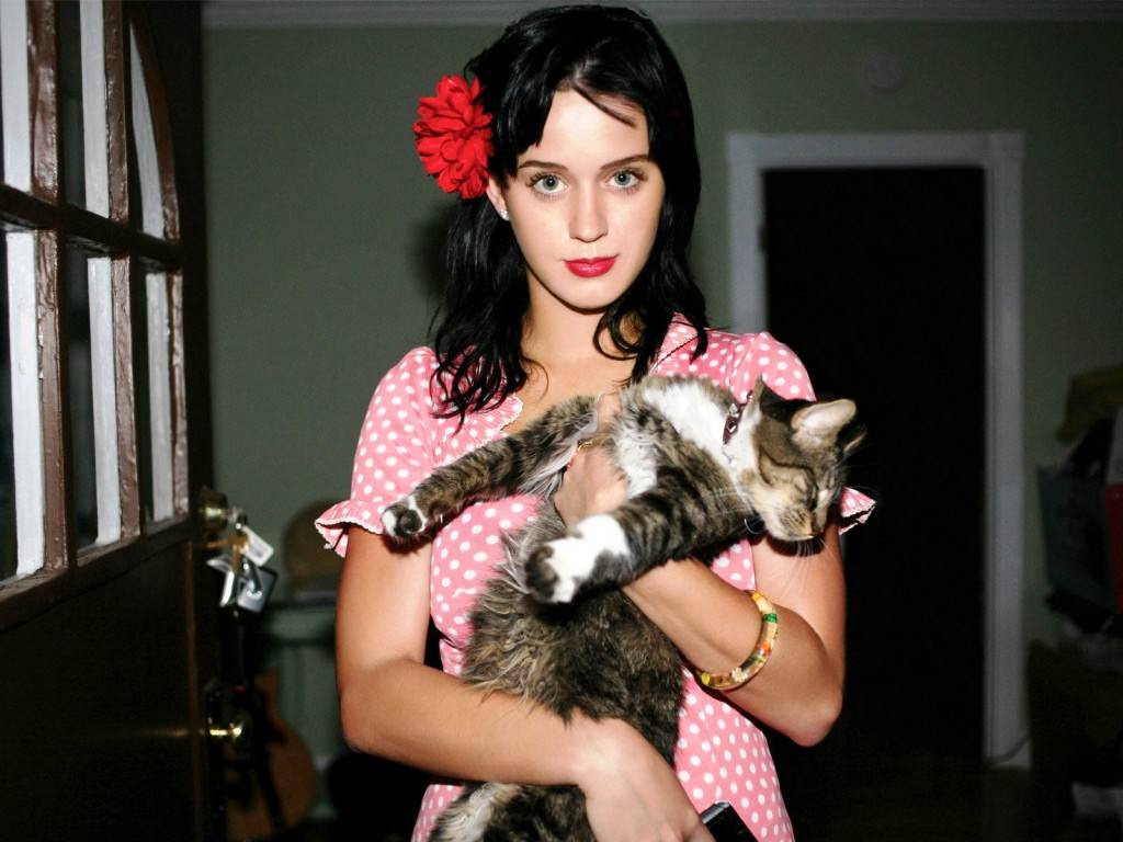 Katy Perry piange la morte del suo gatto
