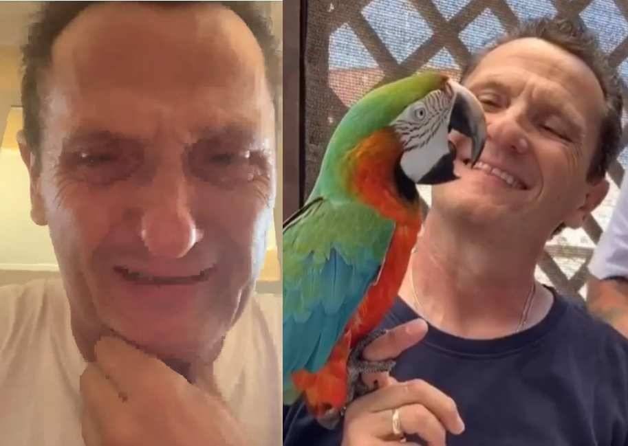 "L'immigrato ha lapidato il mio pappagallo e ora è già libero": il racconto choc di Salvi