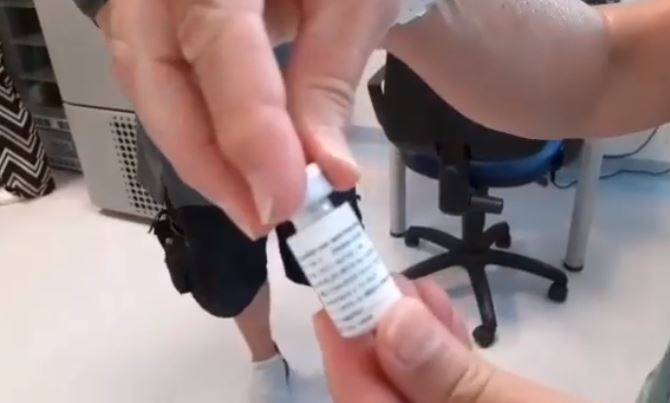 Vaccino italiano: al via dal 24 agosto i primi test sull'uomo