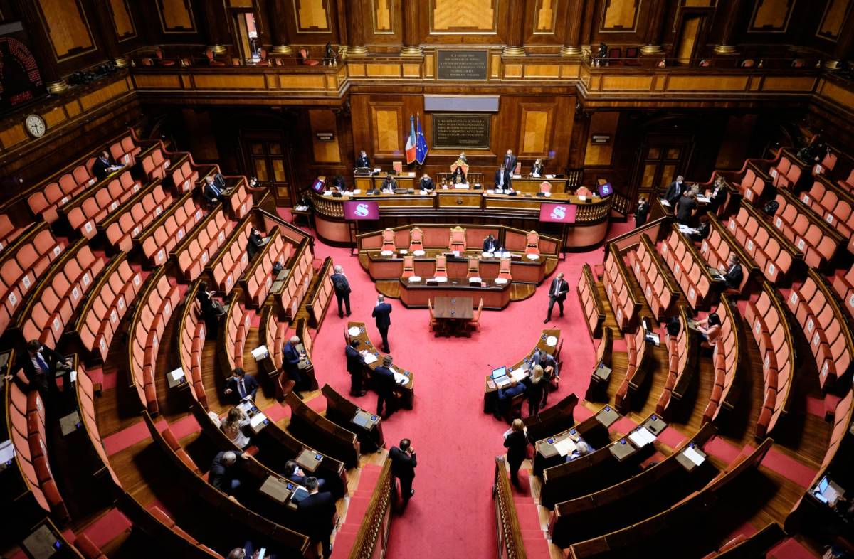 Quel grillino senza vergogna che infanga il nome di Santelli. E in Senato scoppia il caos