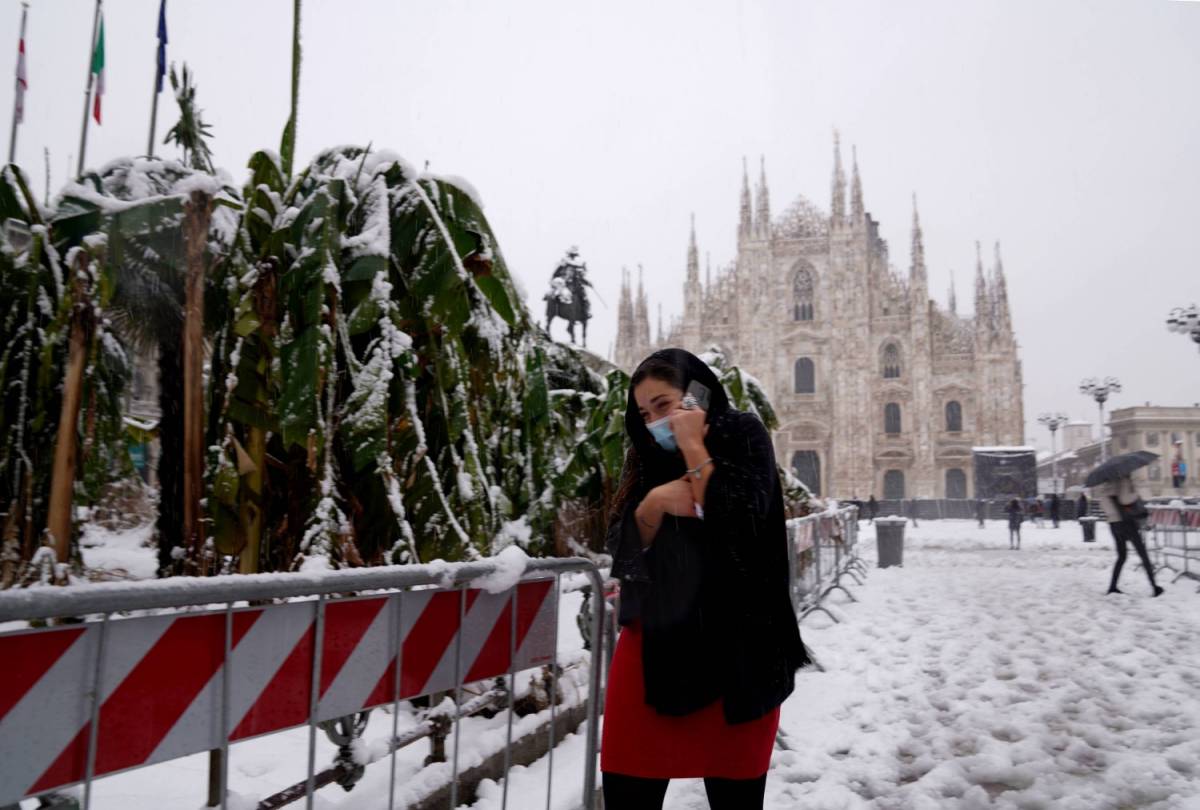 La strage degli alberi? "Manutenzione scarsa, non è colpa della neve"