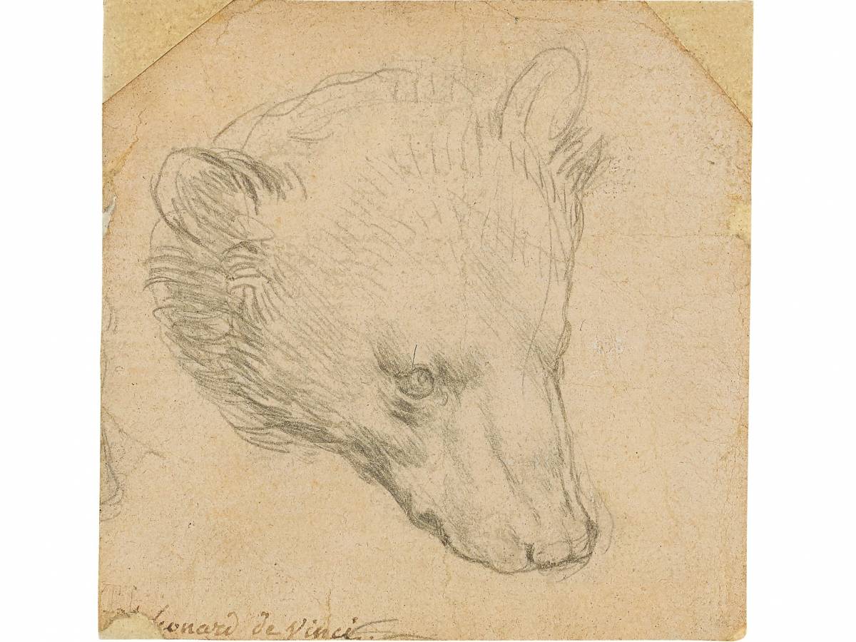 Cifre da record per l'Orso di Leonardo