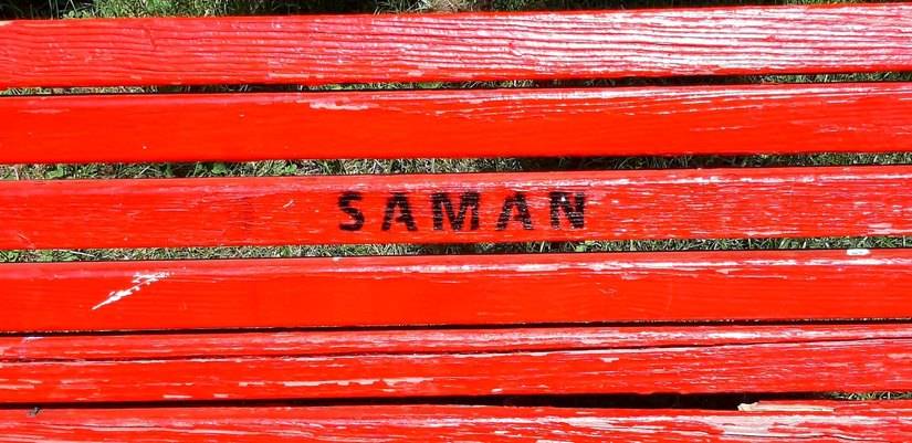 Nel silenzio delle femministe il nome "Saman" su una panchina