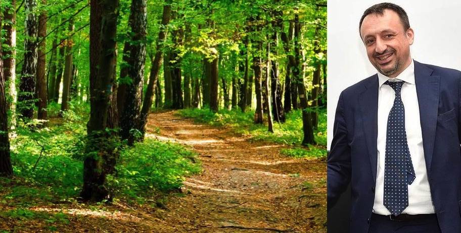 Federlegno e Uncem: insieme per il rilancio dell'economia del bosco