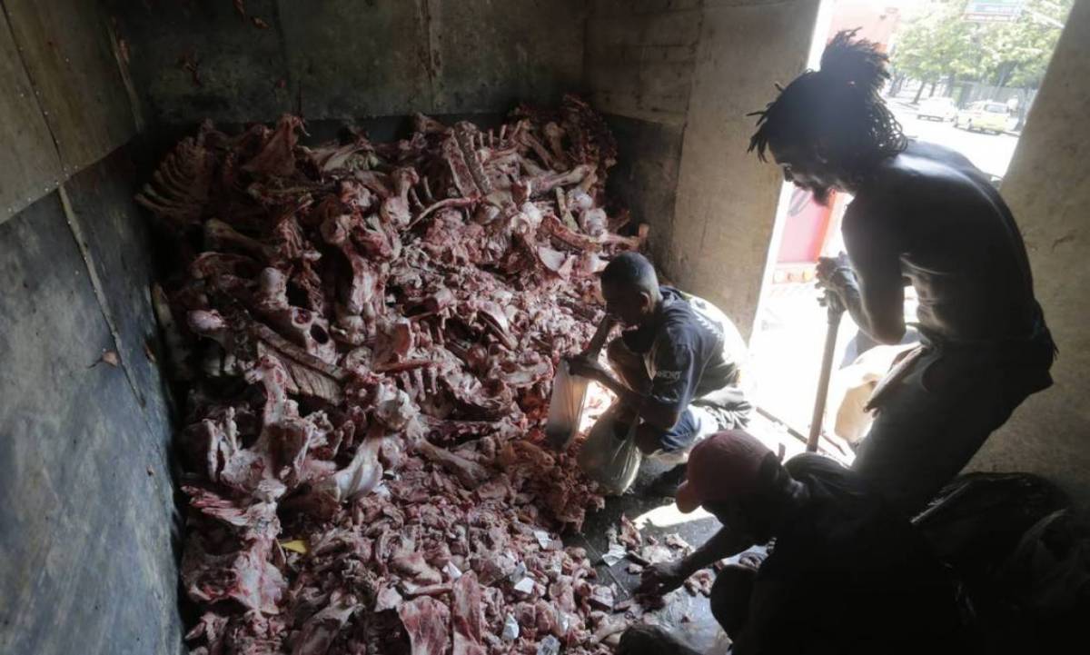 Caccia al cibo tra le carcasse. Una foto indigna il Brasile