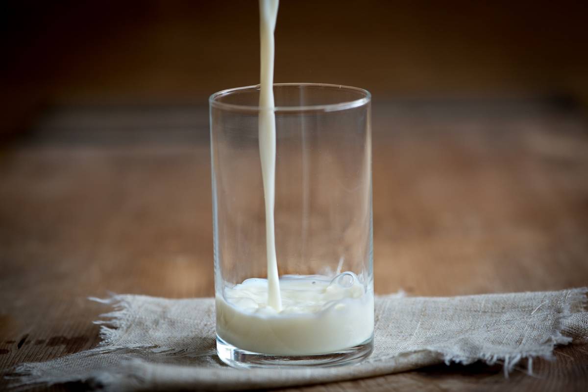 Dopo la carne, spunta anche il latte sintetico: come si produce