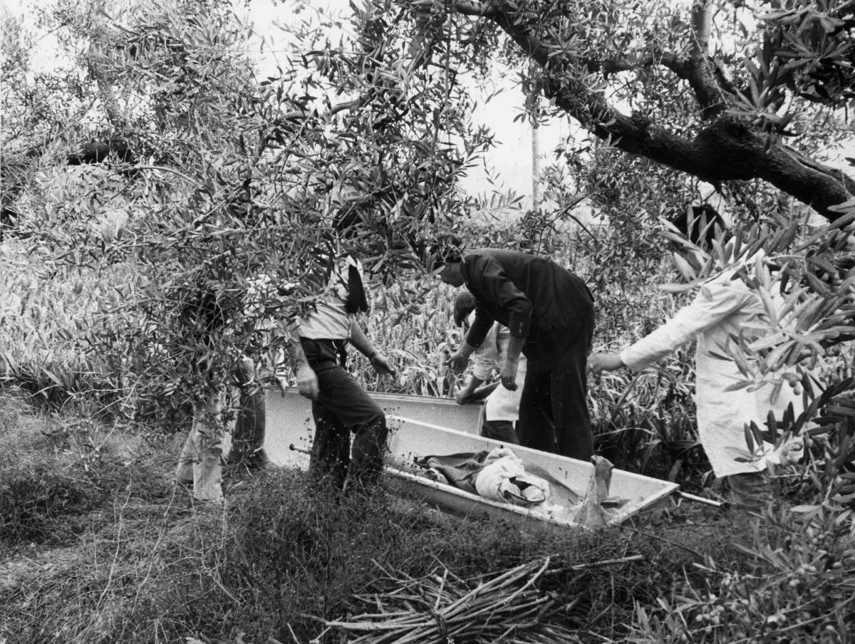 Mostro di Firenze, una nuova richiesta. Il mistero del proiettile nel giardino di Pacciani