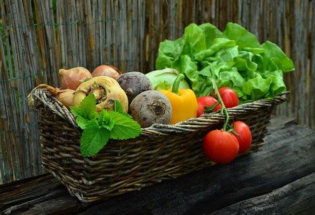 Deterioramento cognitivo, una dieta ricca di vegetali riduce il rischio