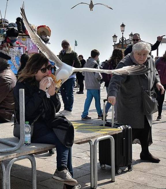 Ecco perché a Venezia i turisti girano con le pistole ad acqua