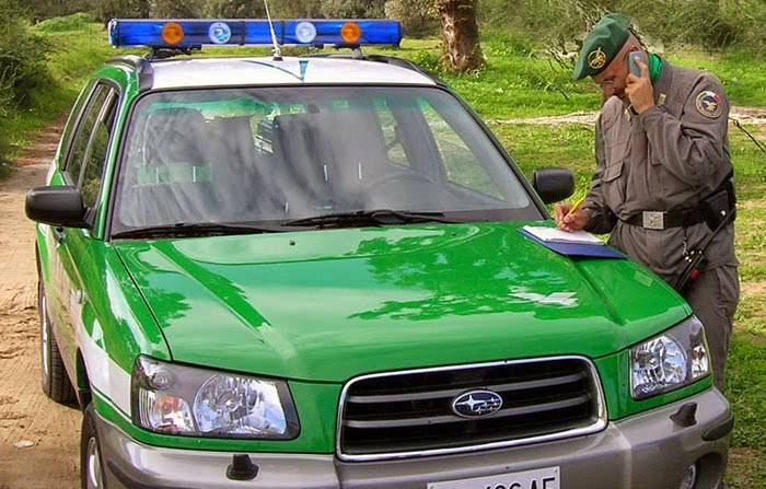 Carabinieri Forestali