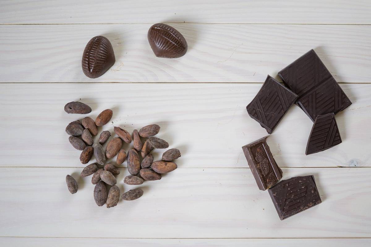 Cioccolato fondente: perché fa bene (anche) al cervello