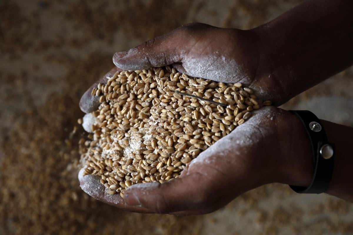 La "rappresaglia" del grano fa schizzare i prezzi