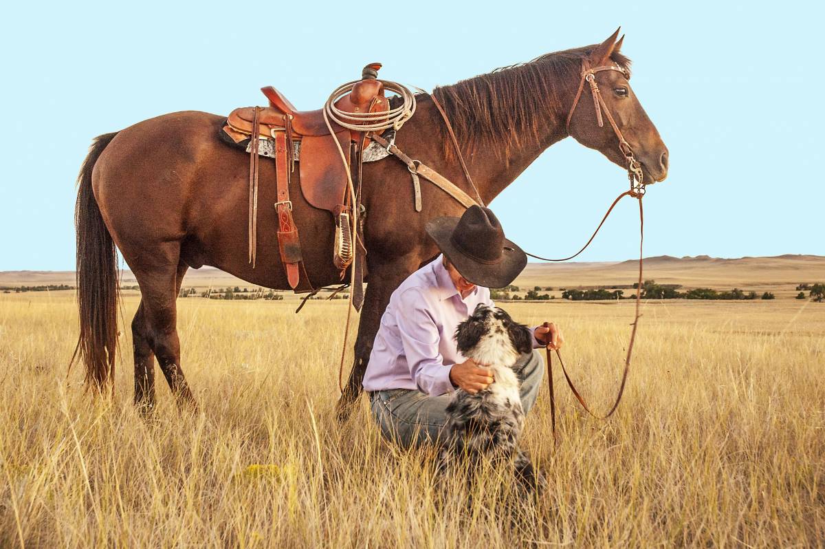 Gli ultimi cowboy, così forti e così dolci