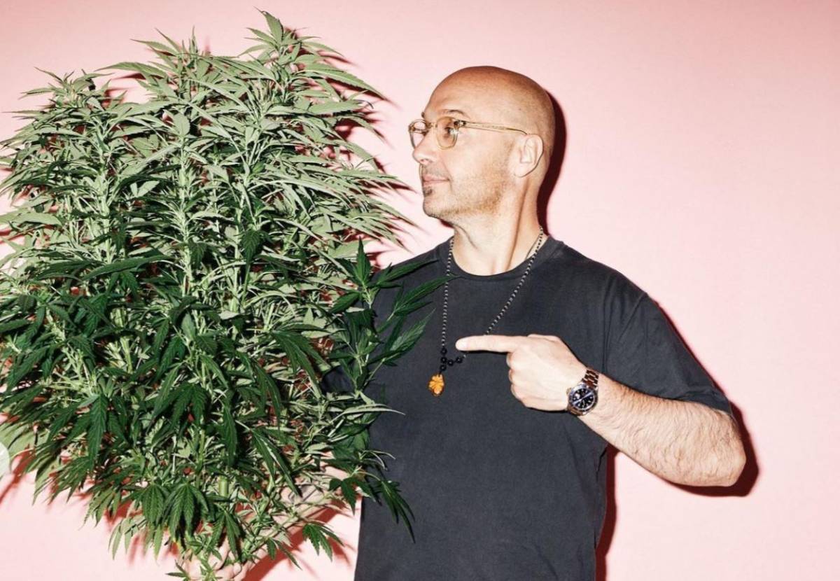 "Porto la cannabis a tavola". L'ultima trovata di Joe Bastianich