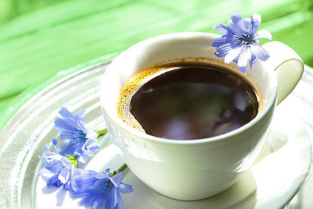 Caffè di cicoria, proprietà e benefici inaspettati