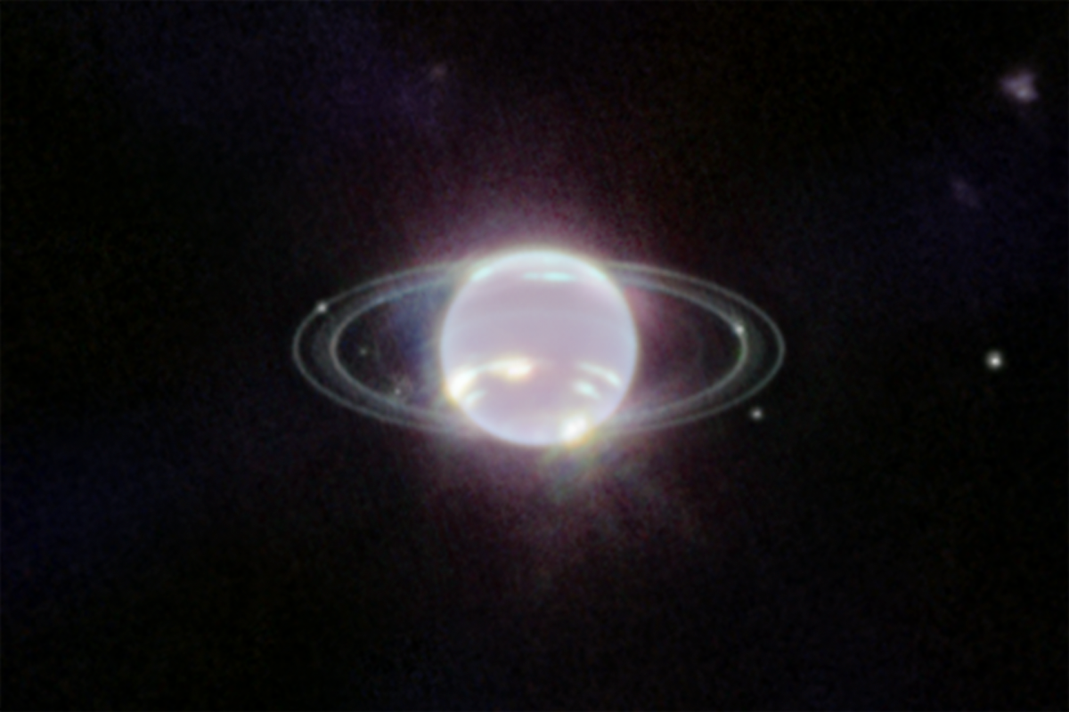 Nettuno visto dal telescopio Webb. Fonte Webb.Nasa.gov
