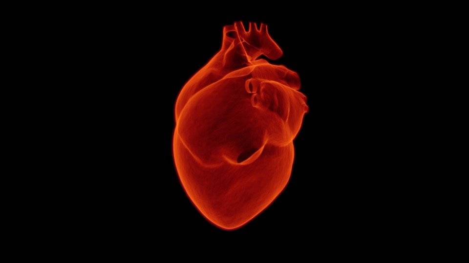 Malattie delle valvole cardiache, che cosa sono e come riconoscerle