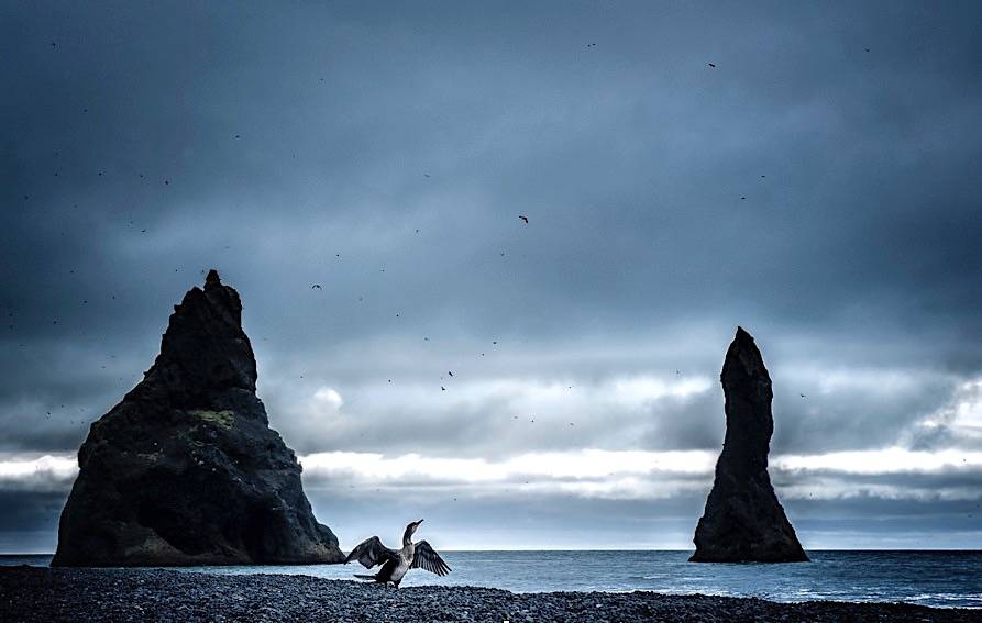 "Terre del Nord", foto d'autore per volare in Islanda da Malpensa
