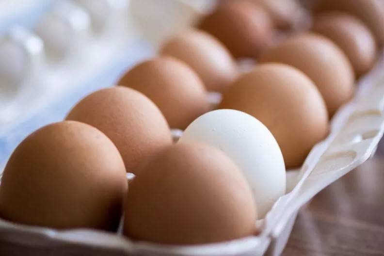 Allarme Salmonella per le uova: quali sono quelle ritirate dagli scaffali