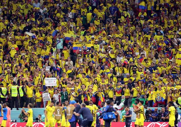 Tifosi dell'Ecuador sugli spalti 