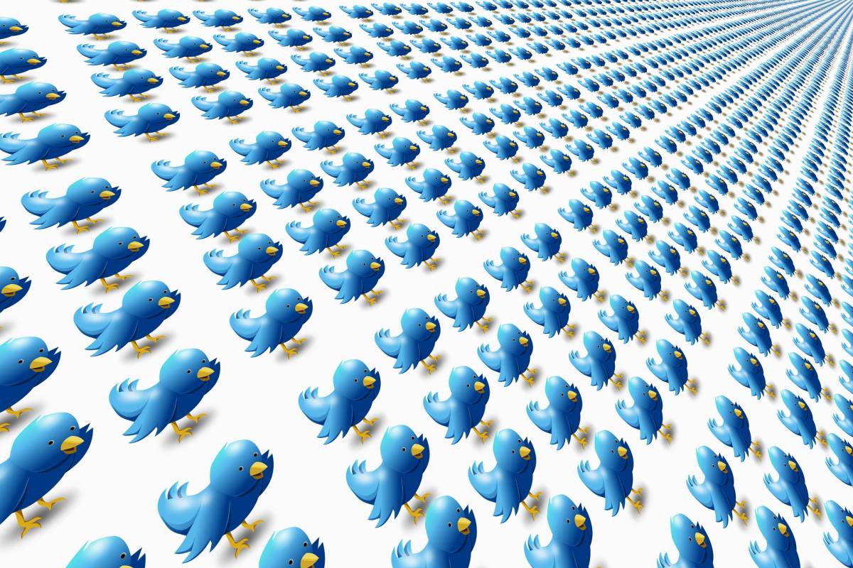 Twitter, torna la spunta blu (a pagamento): cosa cambia con il nuovo abbonamento
