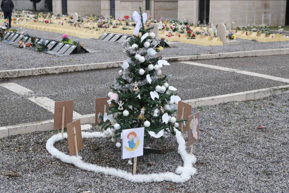 I genitori dei bimbi mai nati sepolti al cimitero monumentale di Brescia sono riusciti a posizionare nell'area delle tombe esumate un alberello di Natale