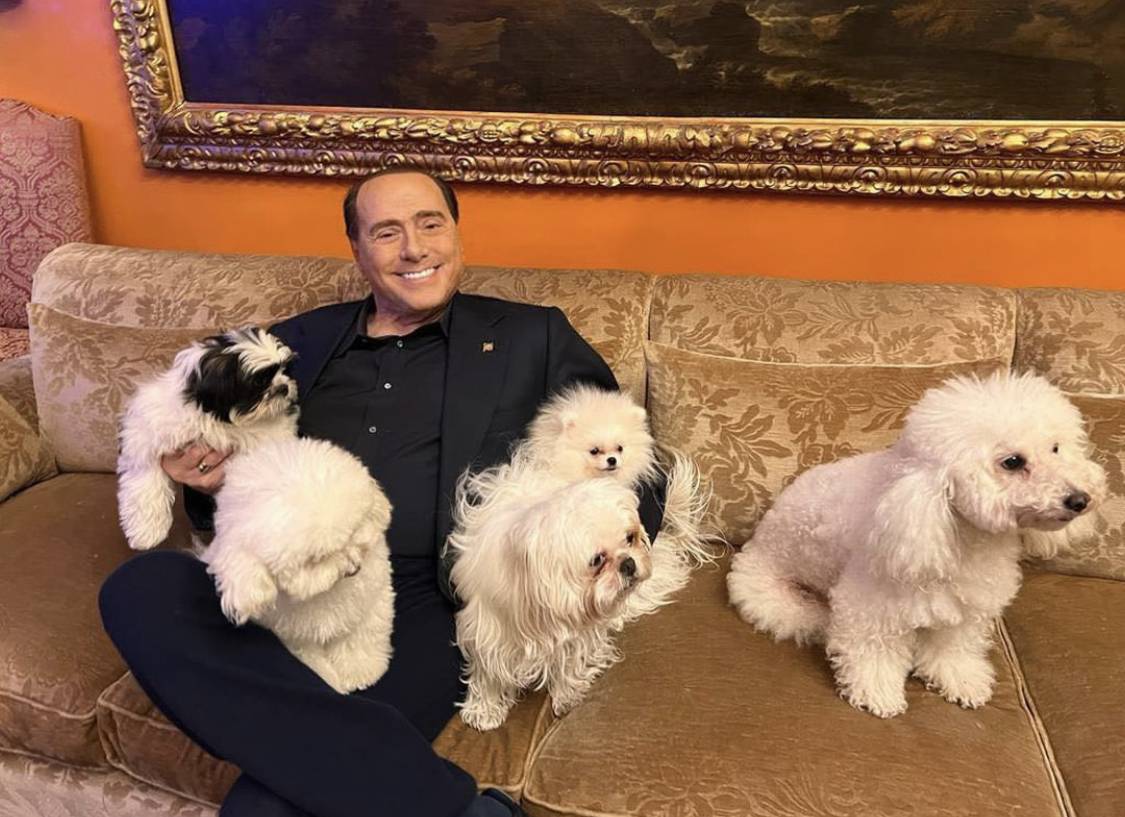 "Quanta gioia regalano…". Berlusconi presenta i nuovi cani di Arcore