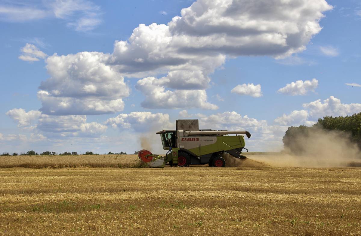 Il grano ucraino passerà dalla Croazia: cosa dice il nuovo accordo (senza la Russia)