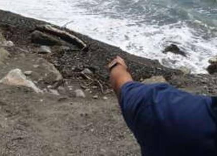 Giallo in Liguria: cadavere in mare senza testa e mani
