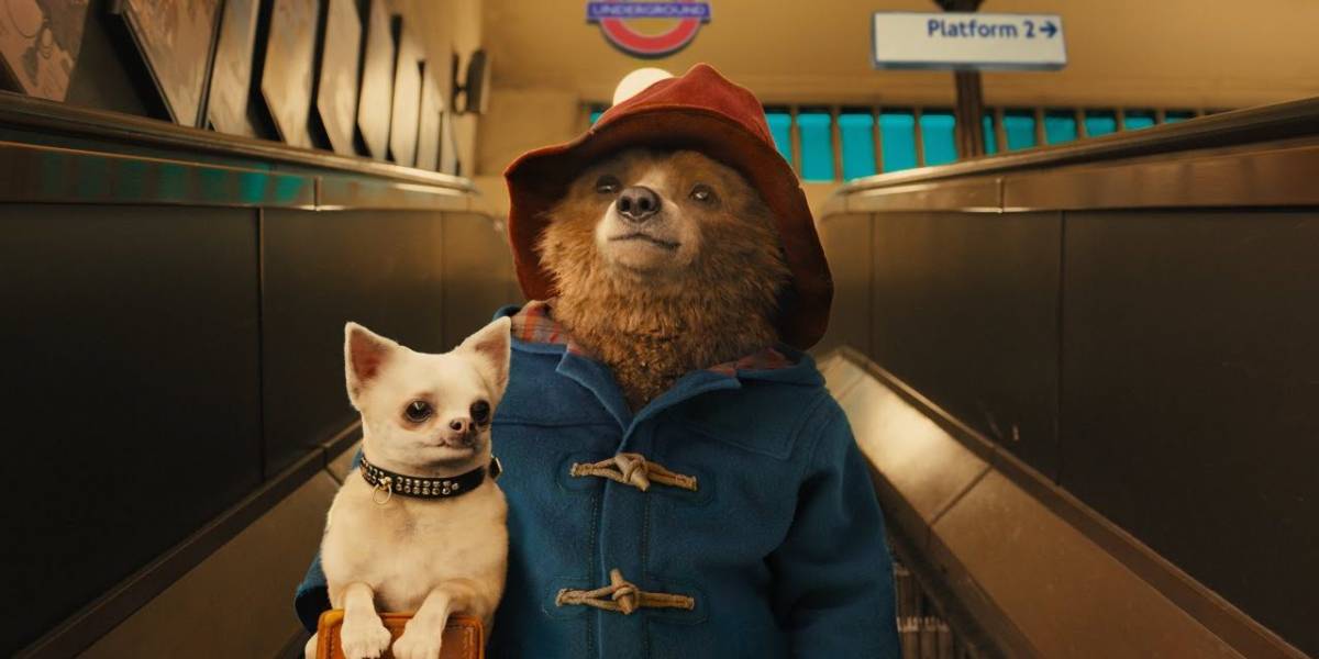 Quel legame tra Paddington e Zelensky