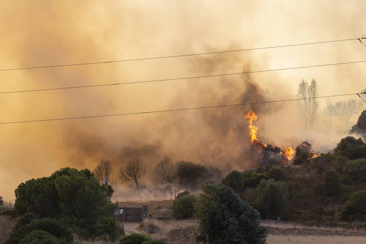 Incendi in Sardegna di origine dolosa: è caccia ai piromani