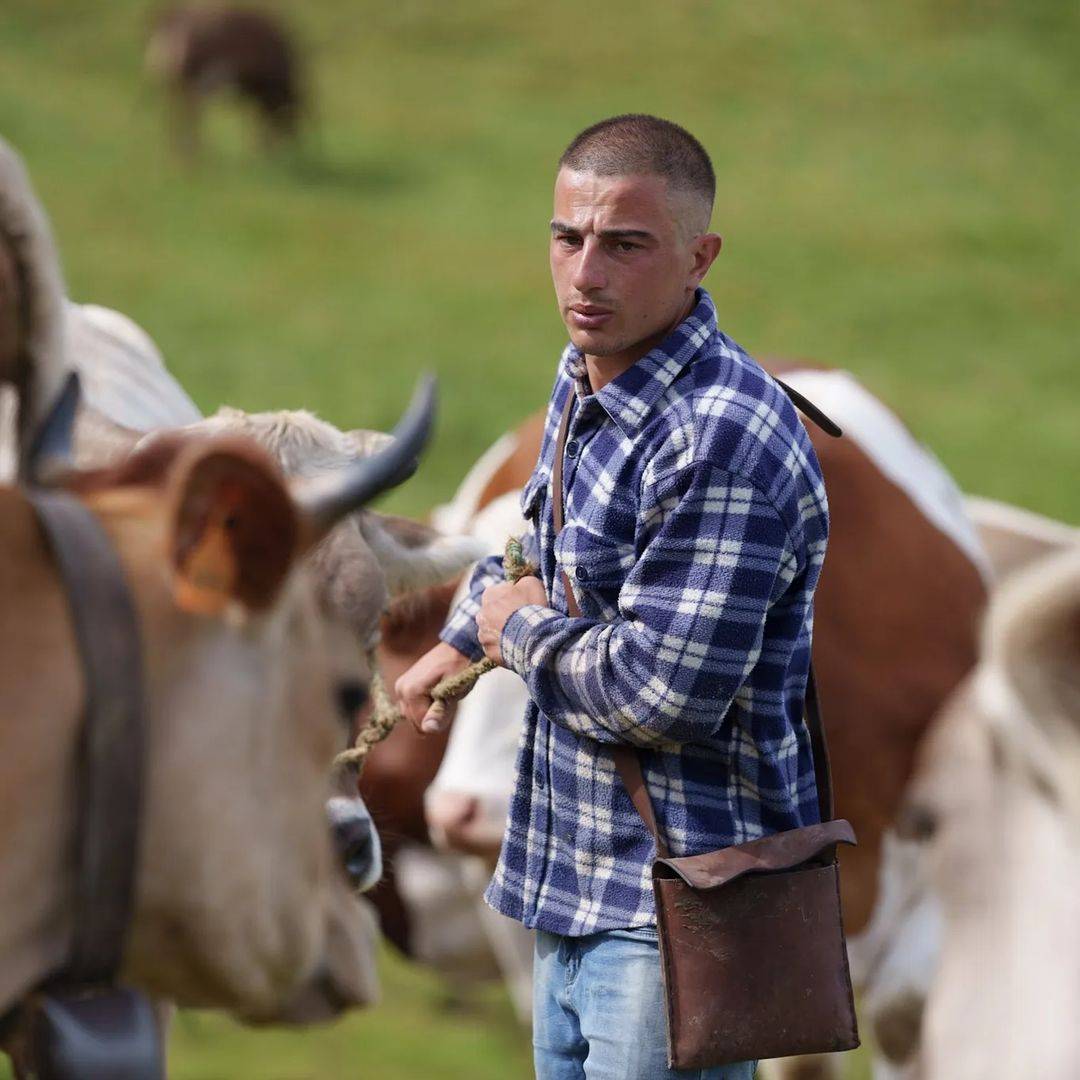 Mucche, capre e formaggio: chi sono i giovani pastori valtellinesi che spopolano sui social