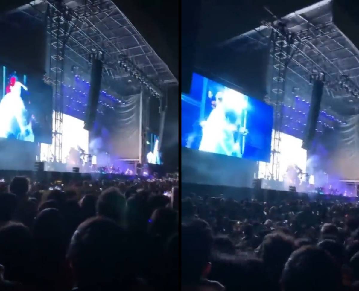 Decine di spettatori feriti al concerto di Lana Del Rey: la caduta a "effetto domino"