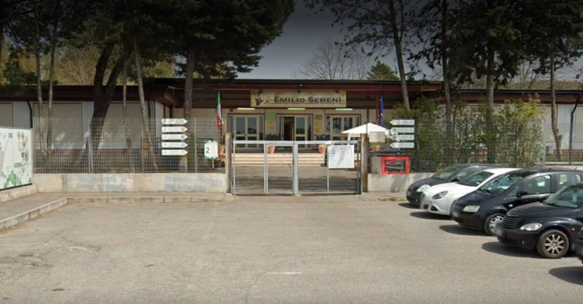 Mucche uccise a colpi di freccia nella scuola: raid durante la notte a Roma