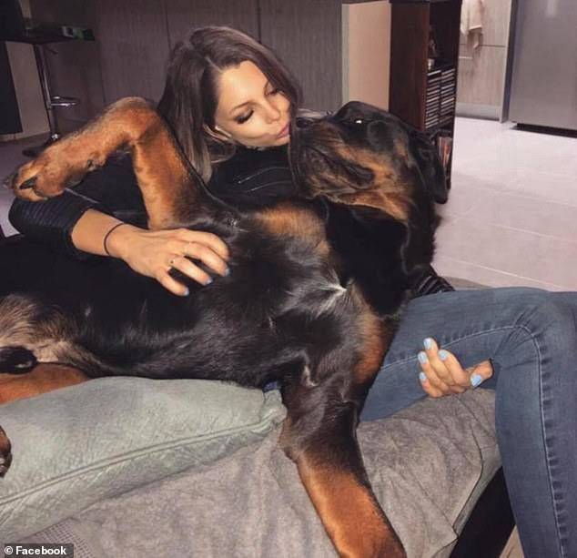 Orrore in Australia, 31enne sbranata dai suoi Rottweiler: è gravissima