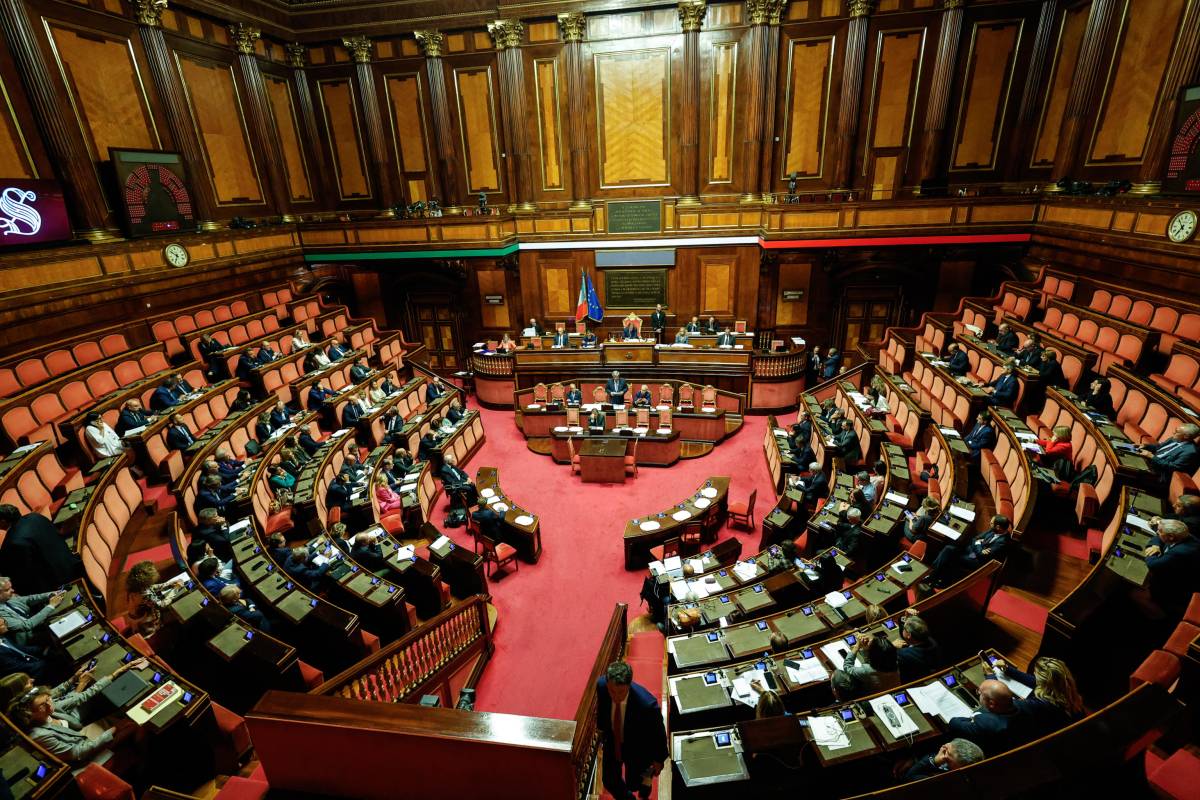 "Sono donna, senatore sarà lei!". Rissa di genere a Palazzo Madama