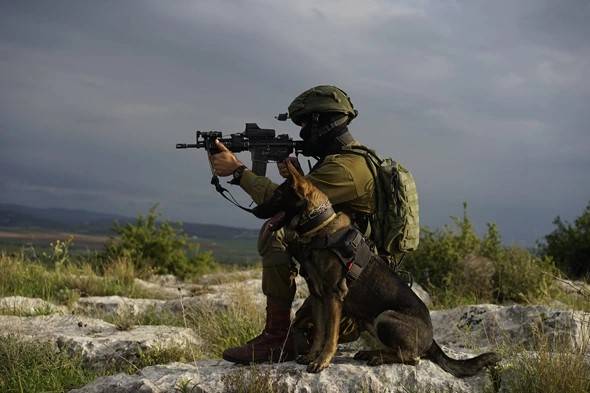 Israele schiera l'unità cinofila Oketz: la carta per la guerra dei tunnel a Gaza