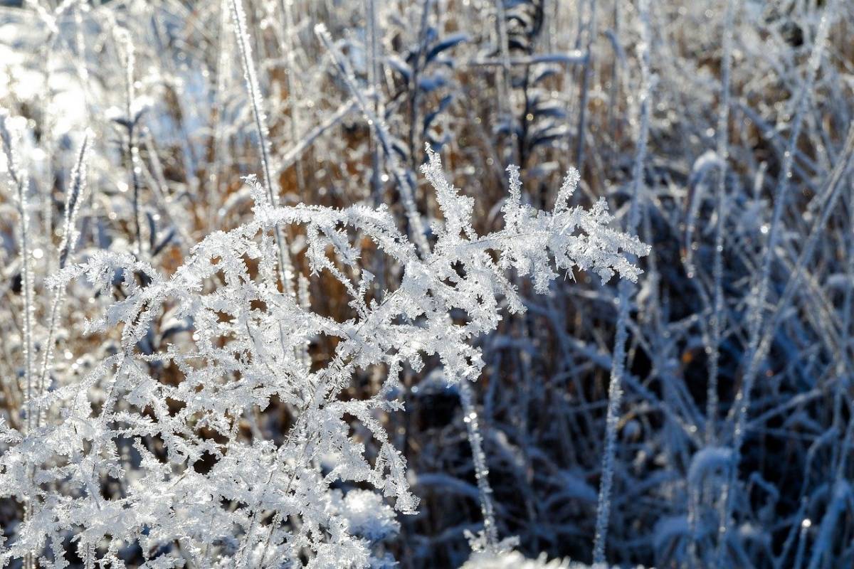 Temperature sotto zero: arrivano le prime gelate notturne, ecco dove