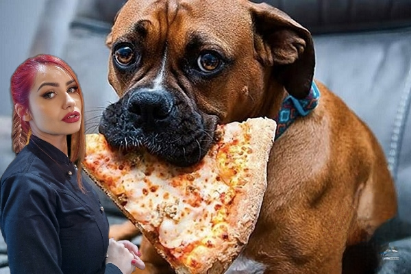 Ordina una pizza e adotta un cucciolo