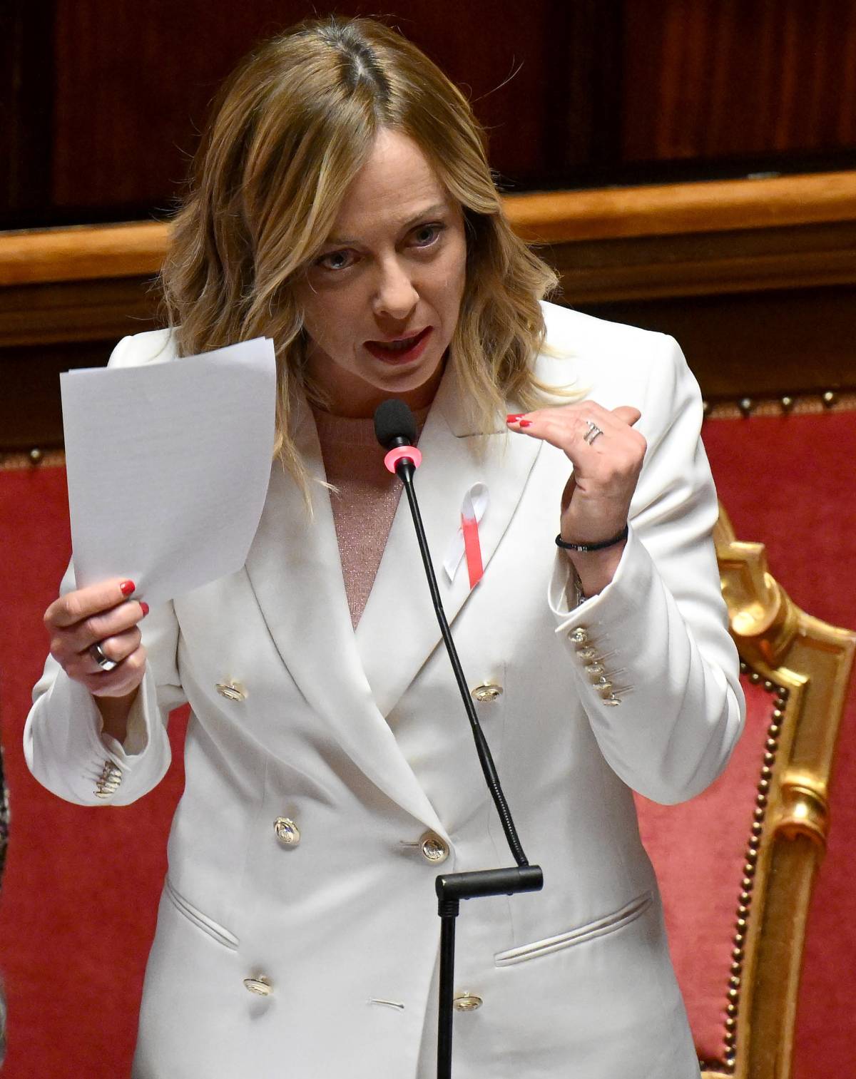 Senato, scontro Meloni-Renzi tra "coerenza" e Bin Salman