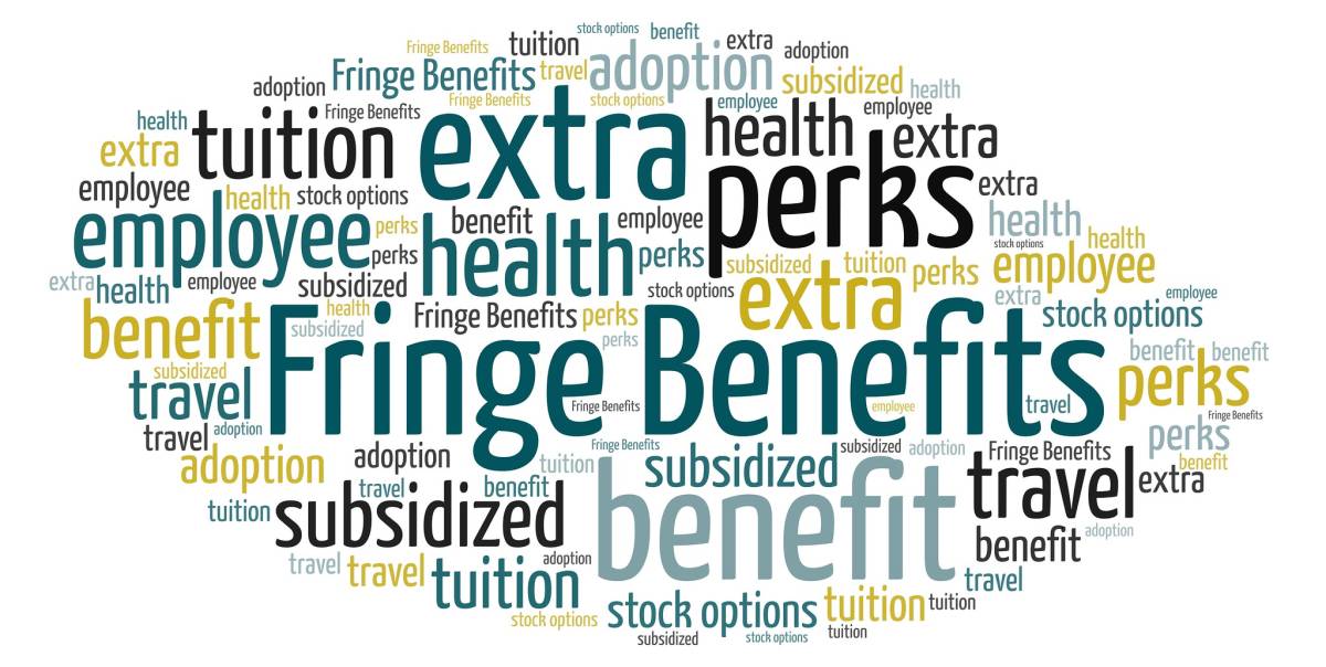 Fringe benefit 2024, quali sono e come funzionano ilGiornale.it