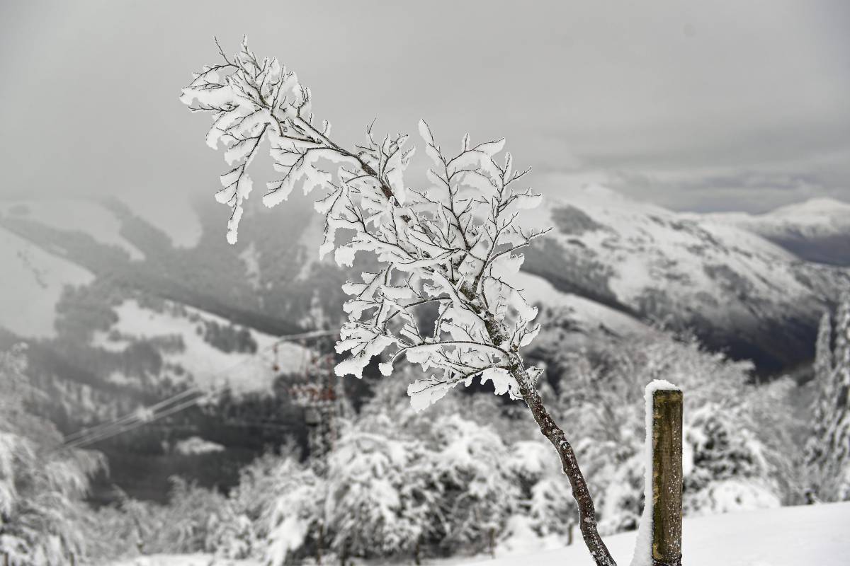 L’inverno non è finito. C'è la data: quando tornano neve e gelo