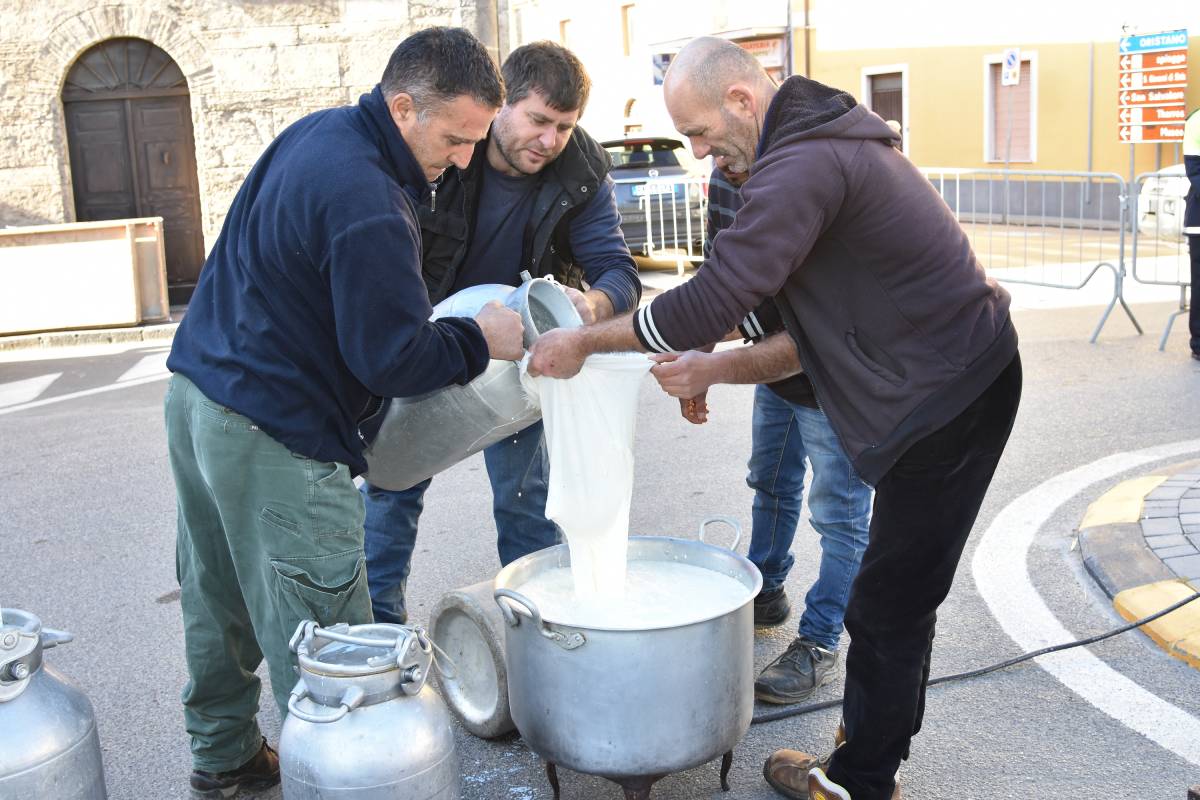 Multinazionale del latte multata per pratiche sleali: prima storica vittoria per Coldiretti