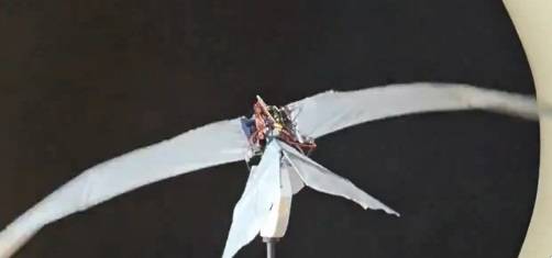 Nuovo drone rivoluzionario per Pechino: cosa può fare il "piccolo falco" cinese