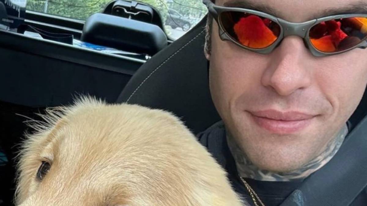 Tra il Codacons e Fedez dopo la guerra scatta la pace: ecco il progetto solidale