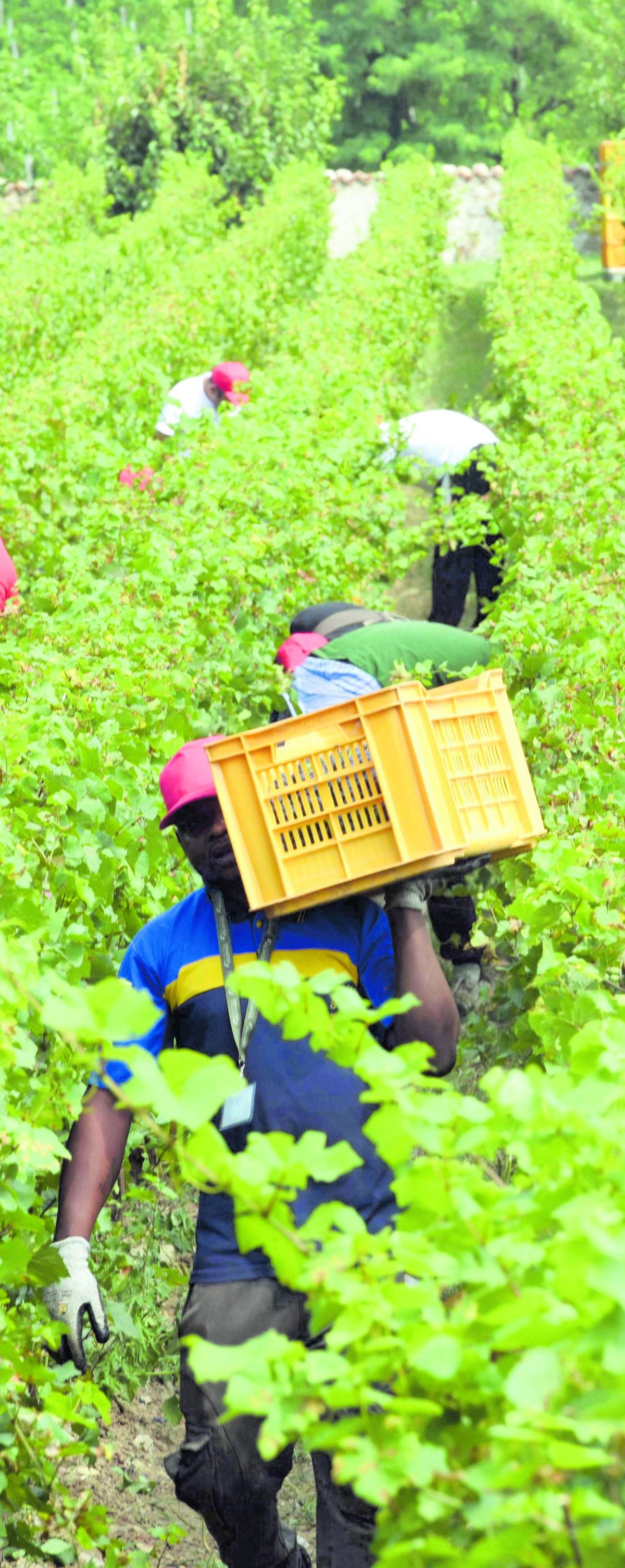 La sinistra incoraggia gli sbarchi clandestini
