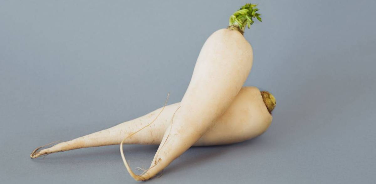 Daikon: il ravanello orientale che riduce gonfiore e colesterolo. Tutti i benefici