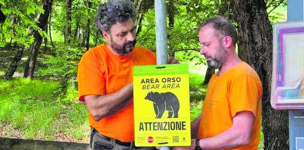 Aggredito da un orso bruno: grave un runner francese. La Lav vuole i verbali sul caso