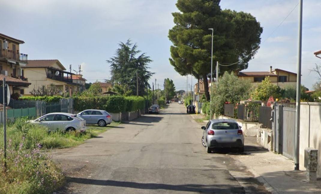 Orrore a Roma, decapita un cane e attacca la polizia: arrestato gambiano
